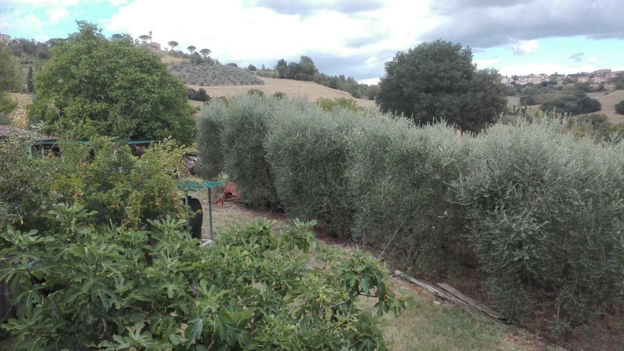 Вилла Agriturismo Cerquaglia Тоди Экстерьер фото
