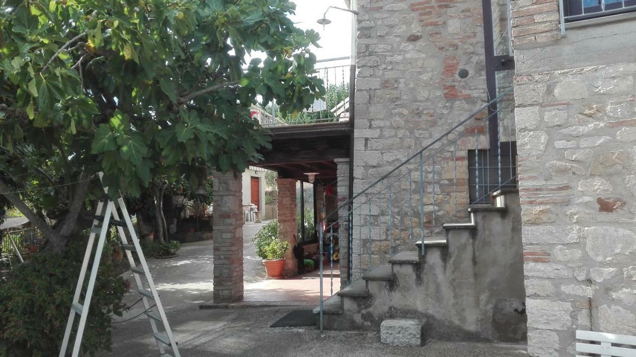 Вилла Agriturismo Cerquaglia Тоди Экстерьер фото